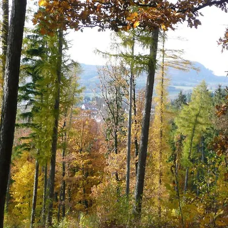 Near Hiking Trails, Cleaning Included Casa vacanze *