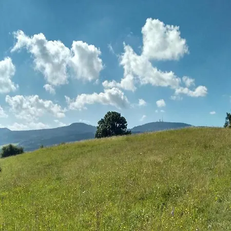 Near Hiking Trails, Cleaning Included *
