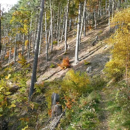 Near Hiking Trails, Cleaning Included * Cabarz