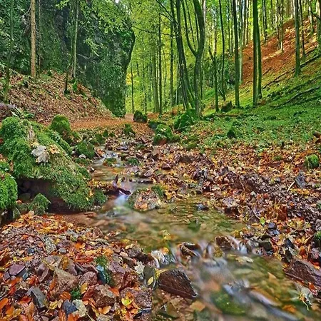 Near Hiking Trails, Cleaning Included Cabarz